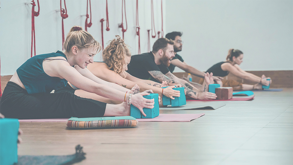 Eine Personengruppe bei der Yogapraxis, in der sitzenden Vorbeuge mit Blöcken als Hilfsmittel.