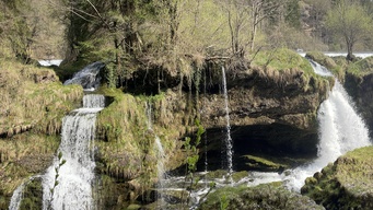 Eine Personengruppe bei der Yogapraxis, in der sitzenden Vorbeuge mit Blöcken als Hilfsmittel.
