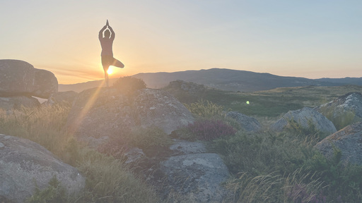 Eine Yogini steht auf einem großen Stein im Licht der aufgehenden Sonne und praktiziert den Baum.